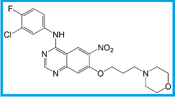CANERTINIB NITRO IMPURITY